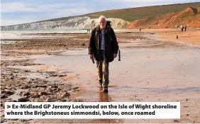  ?? ?? > Ex-Midland GP Jeremy Lockwood on the Isle of Wight shoreline where the Brighstone­us simmondsi, below, once roamed