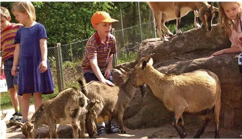  ?? SZ-ARCHIVFOTO: IRIS MAURER ?? Der Saarbrücke­r Zoo ist eine große Attraktion für Kinder – nicht nur in den Ferien.