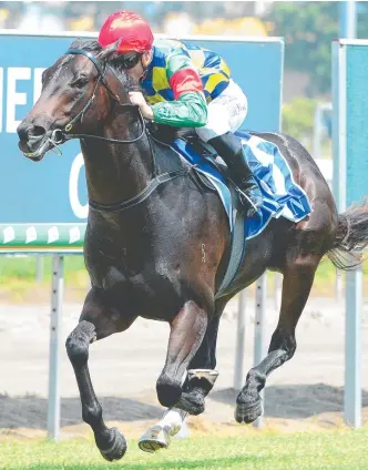  ?? Picture: AAP IMAGE/TRACKSIDE PHOTOGRAPH­Y ?? First starter Well Prepared gives jockey Damian Browne an armchair ride at the Gold Coast.