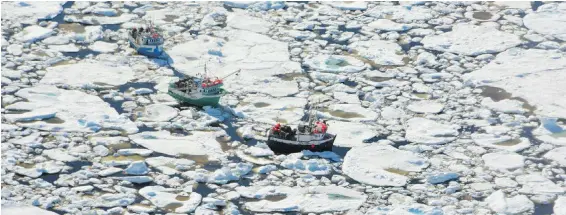  ?? DEPARTMENT OF FISHERIES AND OCEANS, VIA CP ?? Boats are shown trapped in heavy ice off La Scie, N.L. Thick pack ice has trapped many vessels and triggered a high-stakes rescue operation from a sinking ship off Newfoundla­nd.