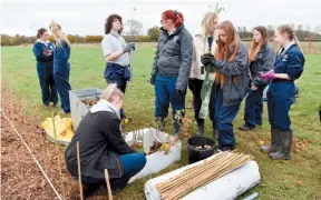  ?? ?? BCA held a COP26 Tree Planting event in collaborat­ion with Raleigh Internatio­nal. Ref:134041-3