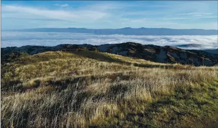  ?? COURTESY OF MELISSA OZBEK ?? Early in the morning, when fog blankets the Santa Clara Valley, the view from the Bald Mountain Trail in Sierra Azul Preserve feels like a dreamscape.