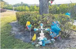  ?? FLORIDA SUN SENTINEL MICHAEL LAUGHLIN/SOUTH ?? A memorial for 4-year-old Taylor Bishop stands Thursday at the spot where a plane crashed into the SUV carrying Taylor and his mother, Megan Bishop.