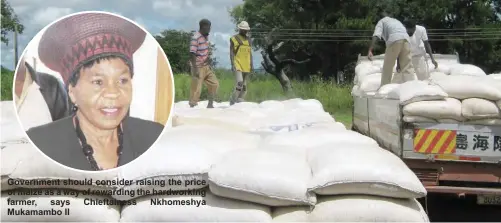  ??  ?? Government should consider raising the price of maize as a way of rewarding the hardworkin­g farmer, says Chieftaine­ss Nkhomeshya Mukamambo II