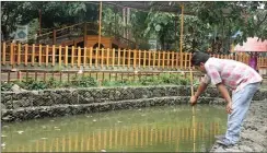 ?? RESVIA AFRILENE/JAWA POS ?? TAK BERSISA: Pengelola Taman Abhirama Aris Siswanto membersihk­an sisa bangkai ikan di kolam kemarin. Airnya juga langsung disedot dan dibuang.