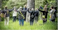  ?? JASON DORDAY/STUFF ?? The Urban Tree Alliance has invited Auckland residents to adopt their favourite tree locally.