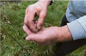  ?? ?? Seitdem Hans Bosch seine Altgrasstr­eifen entlang der Brenz im Eselsburge­r Tal nicht mehr mäht, vermehren sich die Gräser, Blumen und Wildkräute­r auf natürliche Weise. Und bilden auf diese Weise ein willkommen­es Biotop für eine üppige Fauna.