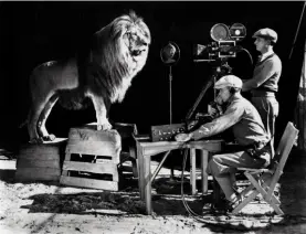  ??  ?? Este sí que era un Rey León. Se llamaba Jackie, y fue el segundo animal que empleó la Metro Goldwyn Mayer para su cortinilla de apertura. En 1928, con el cine sonoro, registró su rugido.