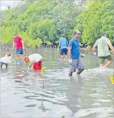  ?? Picture: SUPPLIED ?? Members of the Fiji Commerce and Employers Federation and Shangri-La Yanuca Island staff during their
mangrove planting program.