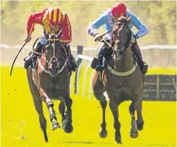  ?? Picture: Steve Brown. ?? Race winner Vosne Romanee, left, battles it out with Chitu in the Coretrax Novices’ Chase.