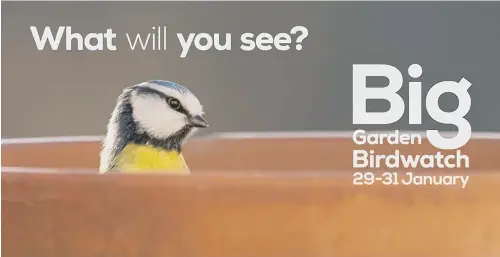  ?? ?? People in Sussex are being invited by the RSPB to take part in this year’s Big Garden Birdwatch