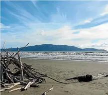  ?? PAMELA WADE ?? Ka¯piti Island, pictured from mainland Ka¯piti, has been predator-free since 1996.