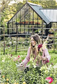  ?? ?? Learn from the way your preferred flowers behave in the wild, says Milli Proust. Below left, tulips from Sean Pritchard’s cutting garden