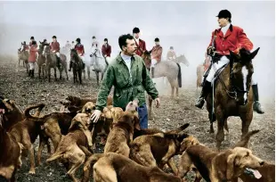  ??  ?? WHAT A DRAG
With anti-blood sports campaigns on the rise, more fox hunts in the 1970s switched over to drag hunting using a volunteer dragging a scent-filled sack. Here, the hounds run human ‘ fox’ Henry Edwards to ground on 7 January 1973