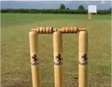 ?? ?? Cricket stumps Picture: Pixabay