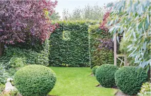  ??  ?? GARDEN GUIDE
Orientatio­n The garden leads away from the house, from the south and west. Soil Badly compacted by the building work but now thoroughly rejuvenate­d. Special features Naturalist­ic planting in a formal and contempora­ry framework. Garden...