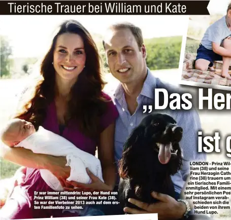  ??  ?? Er war immer mittendrin: Lupo, der Hund von Prinz William (38) und seiner Frau Kate (38). So war der Vierbeiner 2013 auch auf dem ersten Familienfo­to zu sehen.