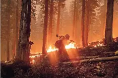  ??  ?? el bombero cody carter lucha contra el incendio North complex en el Bosque Nacional Plumas, la semana pasada