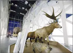  ??  ?? Top and above: Animals are seen at the extinct animal section at the Sheikh Abdullah Al-Salem Cultural Centre which was opened to the public on Wednesday. (AFP)