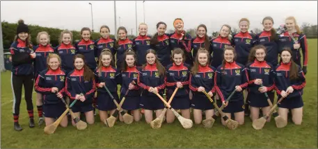  ??  ?? The Presentati­on (Wexford) squad before Saturday’s All-Ireland final in Tinryland.