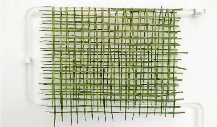  ?? VICKI PIPER ?? Lawn features grass pressed to make a net that, when positioned on a glass towel rail, also begins to looks like a towel.