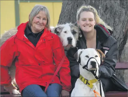  ?? Picture: PAUL CARRACHER ?? PAWS-ITIVE EFFECTS: Lynne Smith, left, and Elly Hanrahan with dogs Maggie and Arlo at Horsham PAWS’ Let’s Paws Day at Horsham Weir Park. The pet companion and wellbeing day, created as a project by a Leadership Wimmera Regional Leadership Skills group, aimed to share the positive effects animal companions have on mental health and wellbeing. A raffle, donations and sausage sizzle also helped to raise money for Horsham PAWS.