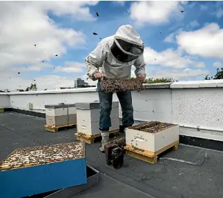  ?? PHOTO: JOSEPH JOHNSON/STUFF ?? Apiarist Jeff Robinson says pollinatio­n in Christchur­ch is at a good level. Hives are in backyards and on rooftops across the city.