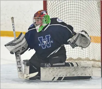  ?? STEVEN MAH/SOUTHWEST BOOSTER FILE PHOTOS ?? Cheyenne Jamieson (above) and Amaya Giraudier (below) have led the Swift Current Diamond Energy Wildcats to a 10-1-1-0 start in the SFMAAAHL this season.