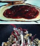  ?? Photograph: Courtesy of WHOI ?? Top: Giant clams with blood-red flesh; and bottom: tube worms surrounded by mussels. The organisms are ‘ingesting the chemistry’ of hydrotherm­al vents.