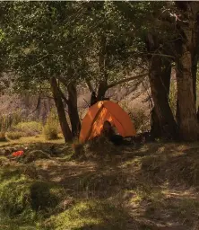  ??  ?? Campamento a orillas del río Pinturas, que transforma el paisaje en un verde oasis. Un lugar ideal para pasar la noche de campamento y observar el increíble cielo patagónico.