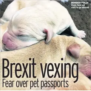  ??  ?? BORDER FOLLY Dogs face vet visit to go abroad