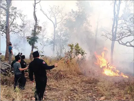  ?? WILDLIFE ALLIANCE CAMBODIA ?? Fire destroys 2ha of forest in Takeo province’s Kaoh Andaet district recently.