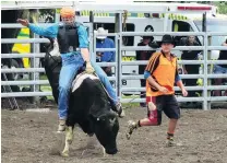  ?? PHOTO: DANIEL BIRCHFIELD ?? Holding on . . . Connor Sandri, of Oamaru, holds on tight as he competes in the seconddivi­sion bull ride at the Waimate Rodeo yesterday.