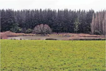  ??  ?? LAGUNA QUE ABASTECE la zona rural y productiva del sector, a 300 metros del terreno adquirido por la empresa Recimet. Esta agua abastece al Estero Paso de Piedra, el que hace lo mismo con el río Caliboro, que desemboca en el Laja y este en el Bío Bío.