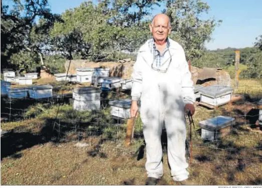  ?? REPORTAJE GRÁFICO: JORDI LANDERO ?? Manuel Mora Tenorio (64 años), un maestro jubilado de Paymogo que desde hace 25 años se dedica a la apicultura.