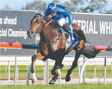  ?? Picture: TRACKSIDE PHOTOGRAPH­Y ?? It's Somewhat, ridden by Tye Angland, wins the Hollindale Stakes at the Gold Coast at his latest start.