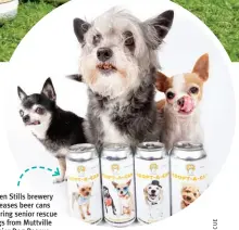  ?? ?? Seven Stills brewery releases beer cans featuring senior rescue dogs from Muttville Senior Dog Rescue.