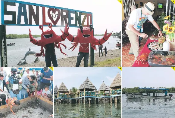El Festival del Canecho reactivó la economía y turismo de San Lorenzo - PressReader