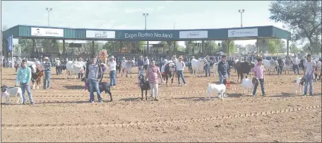  ??  ?? Desfile de los diversos ejemplares premiados por razas y tipos de ganado en la Expo Rodeo Neuland, que se cierra hoy en el campo ferial ubicado a un kilómetro al sur del centro de Neuland, que a su vez dista 450 km. de Asunción.