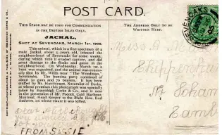  ??  ?? ABOVE: The front and back of a postcard featuring the Sevenoaks Jackal, posted in 1905.