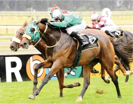  ??  ?? GOOD FORM. Dawn Assault has been racing well in strong company and could punters good value to in the Listed Drum Star Handicap over 1800m at Turffontei­n today.