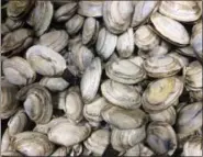  ?? THE ASSOCIATED PRESS ?? Local softshell clams are on display at a Portland, Maine, fish market. Maine clams were once one of the state’s most lucrative resources, but they are sliding in catch. Fishery managers said toxins in the environmen­t and invasive predators could be to blame.