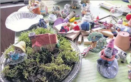  ?? JANICE WELLS PHOTOS ?? Creating fairy gardens is sort of like playing house and growing things at the same time.