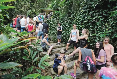  ?? (Al Diaz/Miami Herald/TNS) ?? TOURISTS LINE UP last year along the Indian Cave Trail, Cueva del Indio in Vinales, Cuba.