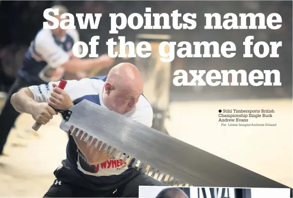  ?? Pix: Limex Images/Andreas Schaad ?? ● Stihl Timberspor­ts British Championsh­ip Single Buck Andrew Evans