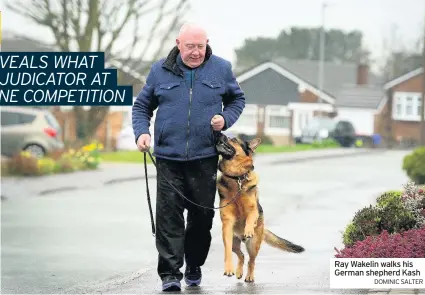  ?? DOMINIC SALTER ?? Ray Wakelin walks his German shepherd Kash