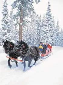  ?? COURTESY OF DURANGO AREA TOURISM OFFICE ?? Several local companies offer winter sleigh rides.