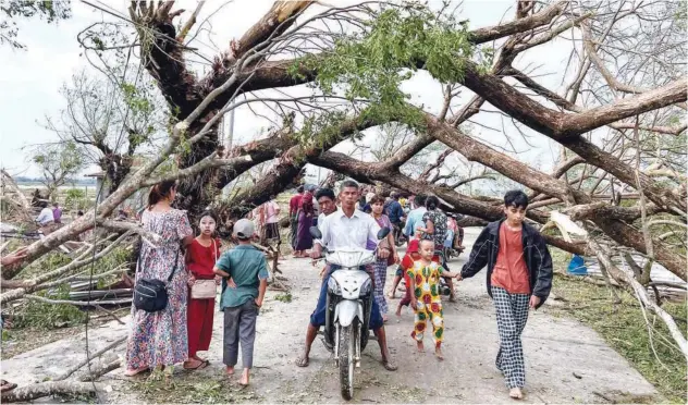  ?? Agence France-presse ?? ↑
Residents walk past fallen trees in Kyauktaw in Myanmar’s Rakhine state on Monday.