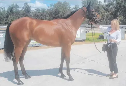  ??  ?? Trainer Angela Plumb with her two-year-old filly Sugar Sizzle, who has come back bigger and stronger since a spell.