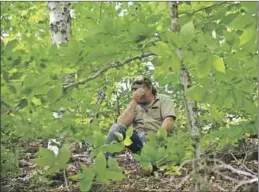  ?? -"83&/$& 108&-- ?? A camera-shy John Bruce sits in the woods on the North Mountain near a site where blasting was to take place later in the day June 5. Bruce stayed on the property but the blasting went ahead anyway. He is concerned the blasting will affect the water he...